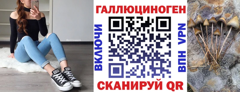 Галлюциногенные грибы Psilocybe  где продают наркотики  Дубовка 